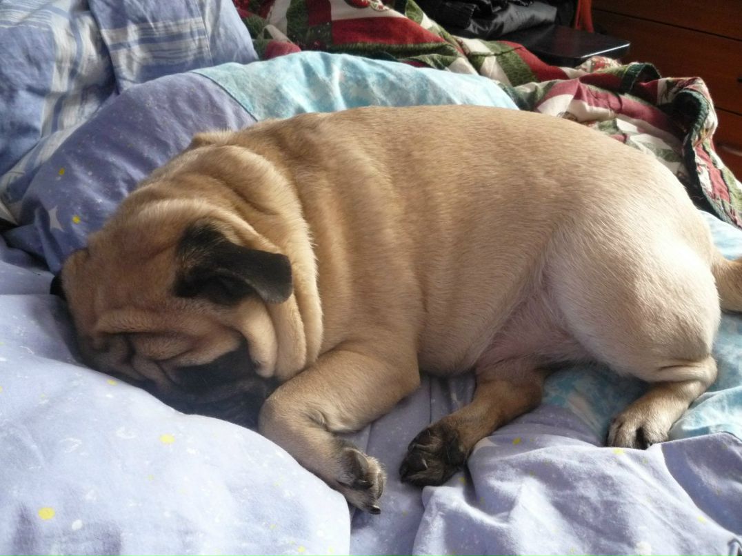 Владимир Кривопусков | Липецк