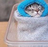 №20 Натали Маклюк