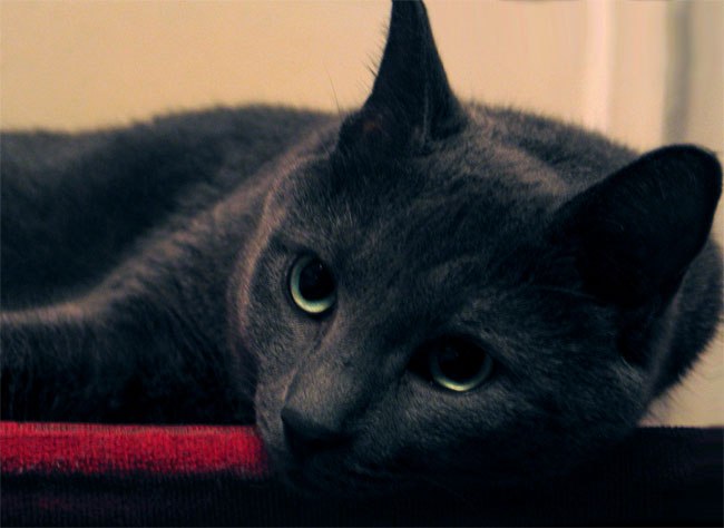 Катерина Моросина | Москва