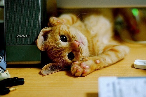 №56, Олег Ведров, Москва, Россия №56, Олег Ведров, Москва, Россия