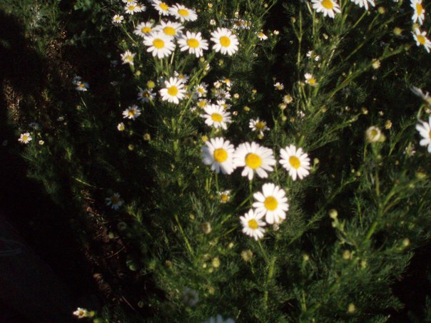 №66, Ринат Кудакаев №66, Ринат Кудакаев