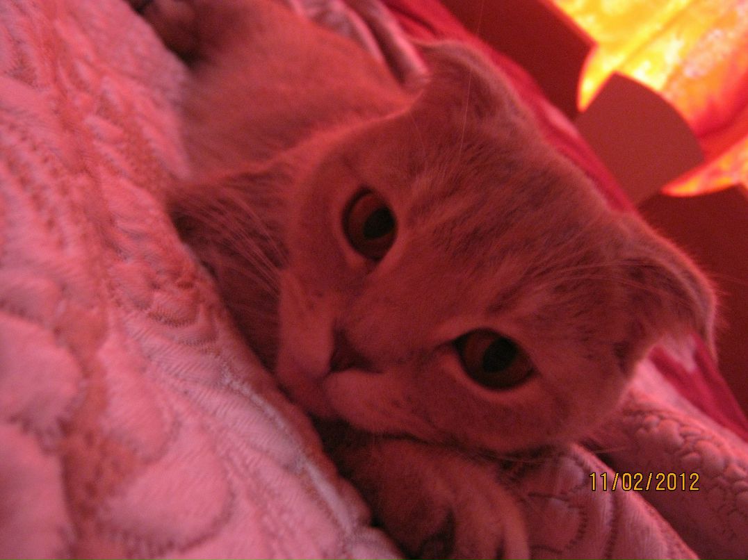 Екатерина Щепилова | Москва