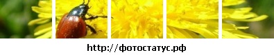 №172, Анастасия Куликова №172, Анастасия Куликова