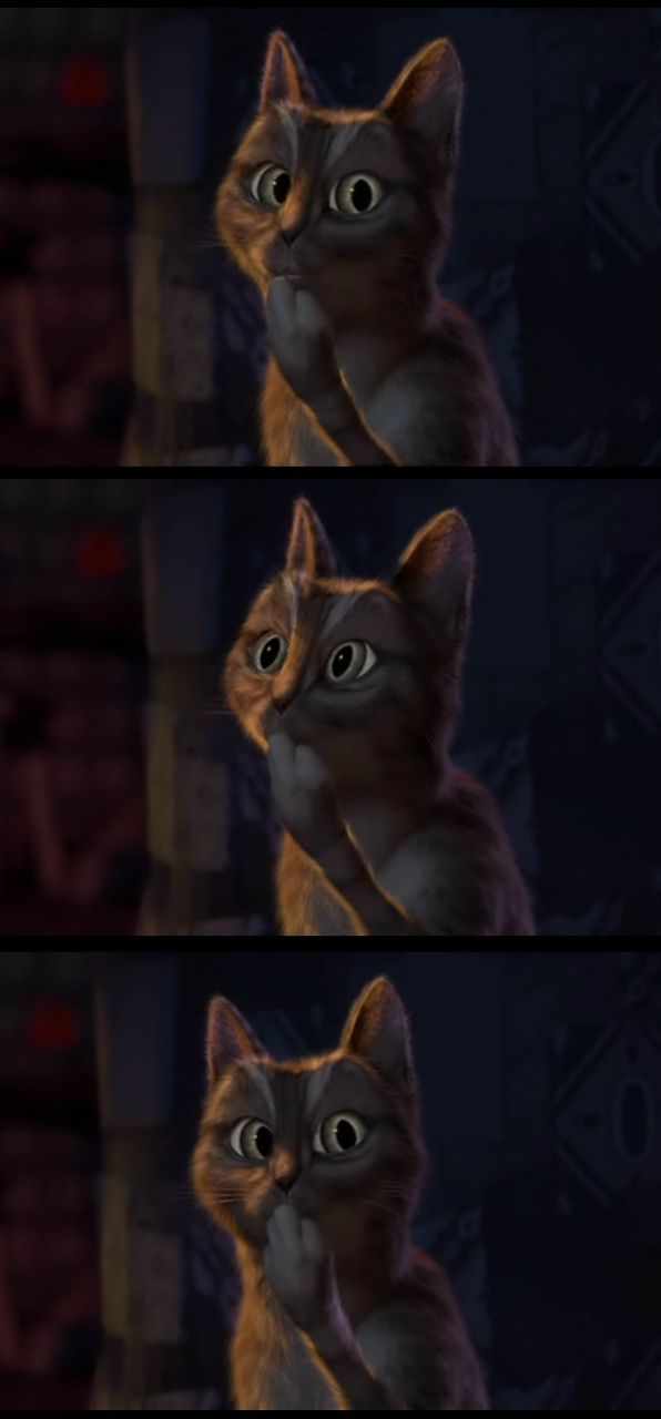 Лилу Дейл | Санкт-Петербург