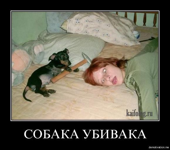 №175, Віталій Іванюк, 37 лет, Киев №175, Віталій Іванюк, 37 лет, Киев