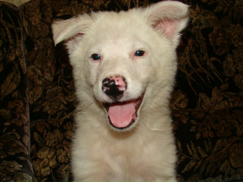 Ангелина Морозова | Херсон