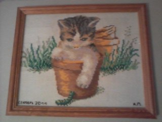 Dino Cavallone | Москва