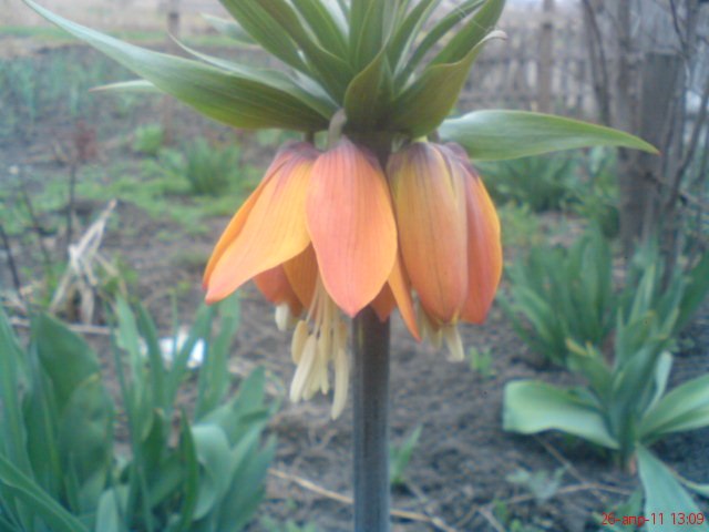 Алексей Гальцов | Славянск