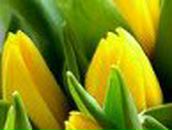 Натали Ефимцева | Краснозаводск