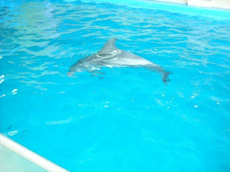 Танюха Безпальчая | Сумы