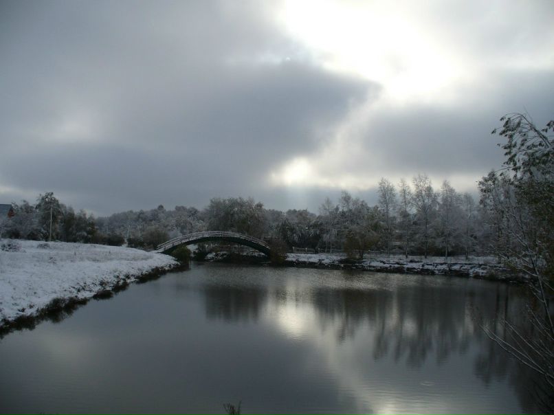 Ирина Романова Александровна | 