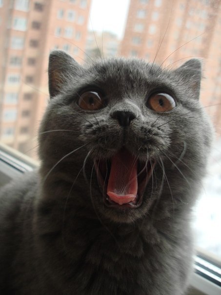 Людмила Корсакова | Санкт-Петербург