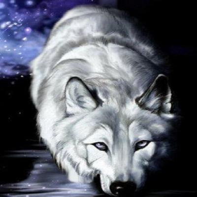 Иван Гарницкий | Киев