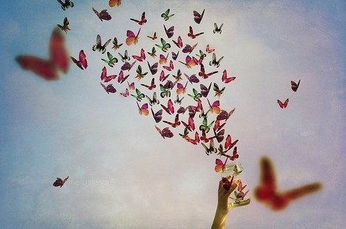 Мария Попова | Новочеркасск