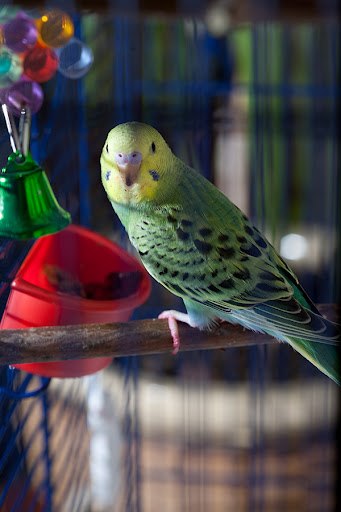 Галина Масалыкина | Оренбург