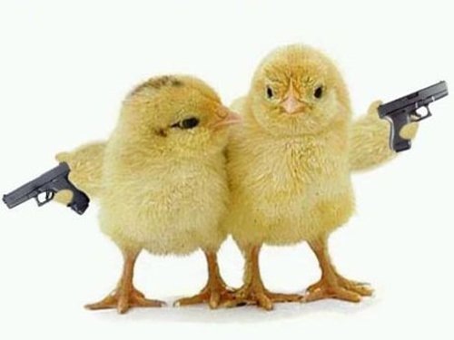 №17, Виктория Бейлик №17, Виктория Бейлик