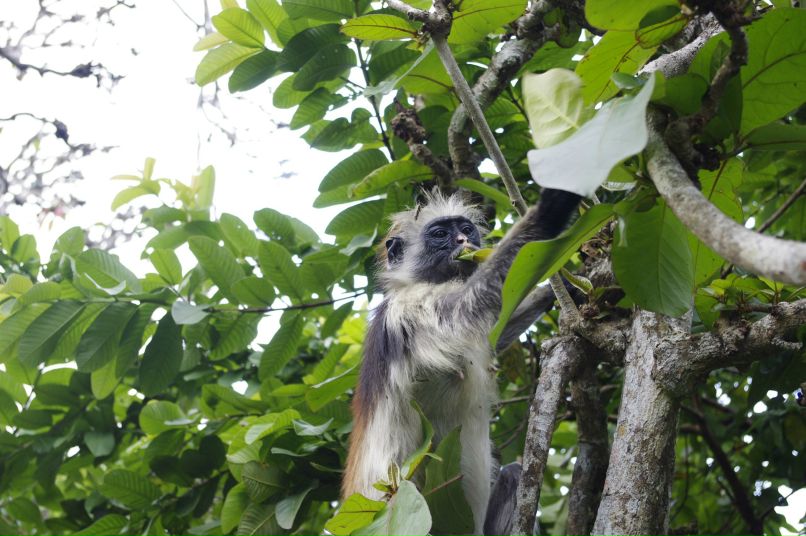 Илья Ломцев | Санкт-Петербург