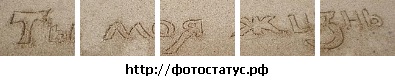 №8, Алексей Плоцких №8, Алексей Плоцких