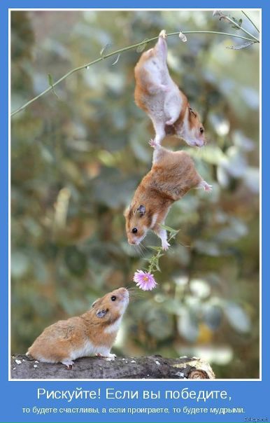 №22, Вика Сальникова, 34 года, Киев №22, Вика Сальникова, 34 года, Киев