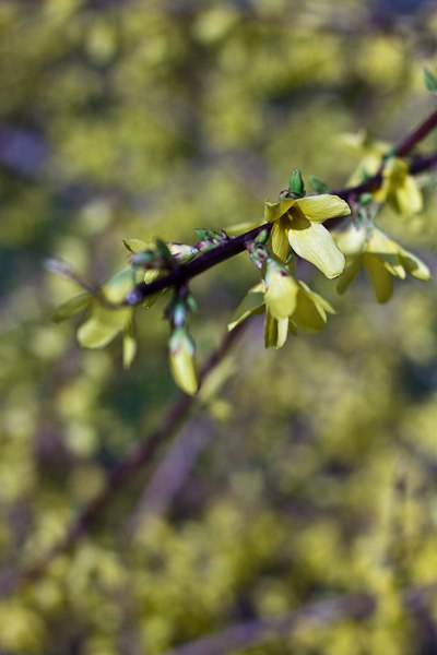 Сергей Топчий Викторович | Киев