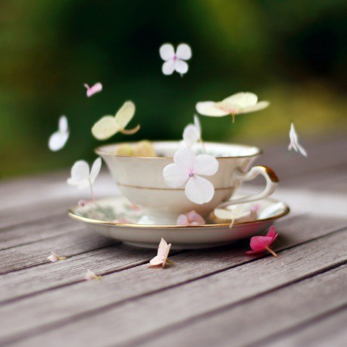 №96, Оксана *******, Сумы №96, Оксана *******, Сумы