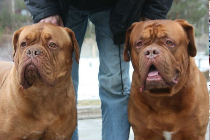 Екатерина Иванова | Санкт-Петербург