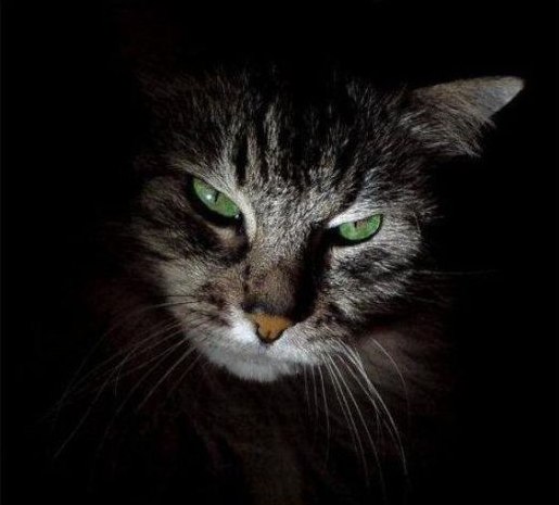 Илья Слепцов | Донецк