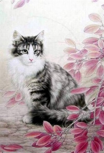 Jane Air | Новосибирск