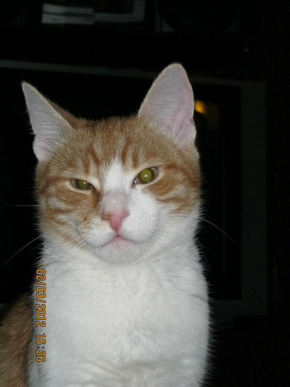 Виктор Бриллиантовый Патрикеевич | Житомир