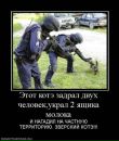 №9 Артак Егиазарян : профиль, фото, статус - ВКонтакте №9 Артак Егиазарян : профиль, фото, статус - ВКонтакте