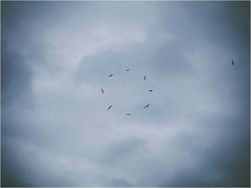 Влад Вейс | Киев