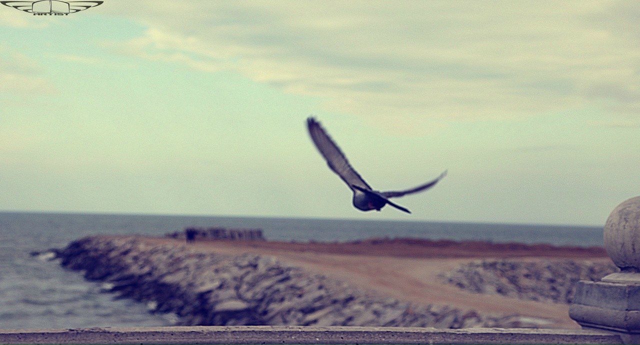 Гуля Ахмедова 05❇ﷲ❇ | Москва