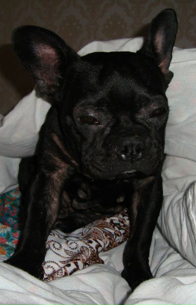 №60, Ольга Данилова, Москва №60, Ольга Данилова, Москва