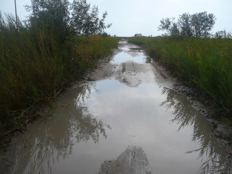 Руслан Верис | 