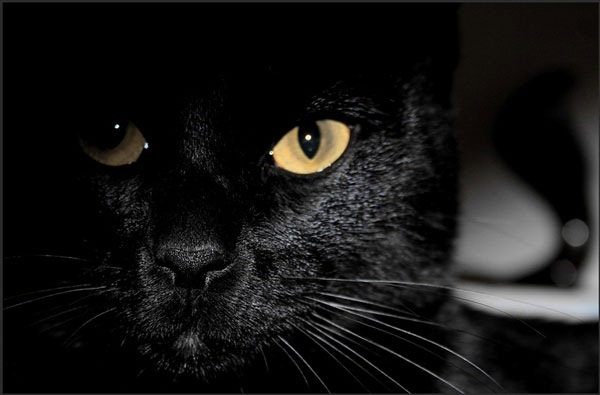 №84, Кирилл Фролов, Москва №84, Кирилл Фролов, Москва