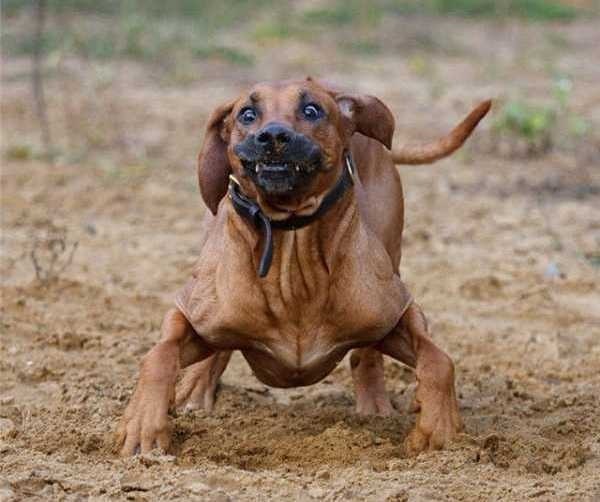 №28, Анатолий Мишанин, 39 лет, Москва, Россия №28, Анатолий Мишанин, 39 лет, Москва, Россия