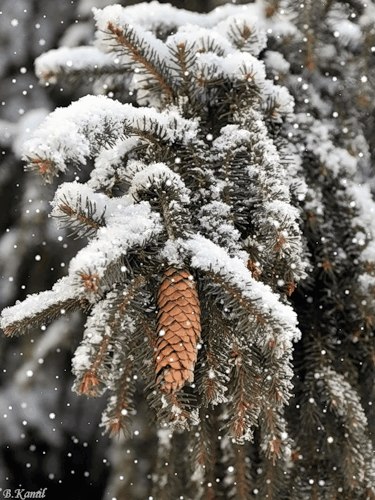Ольга Глушенкова | Омск