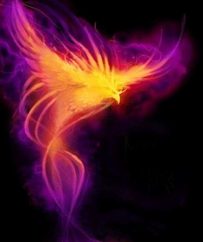 Алиса Игнатюк | Львов