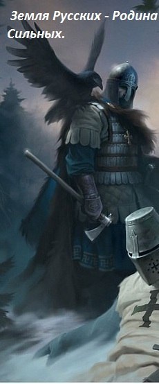 Дмитрий Кодинец | Краснодар