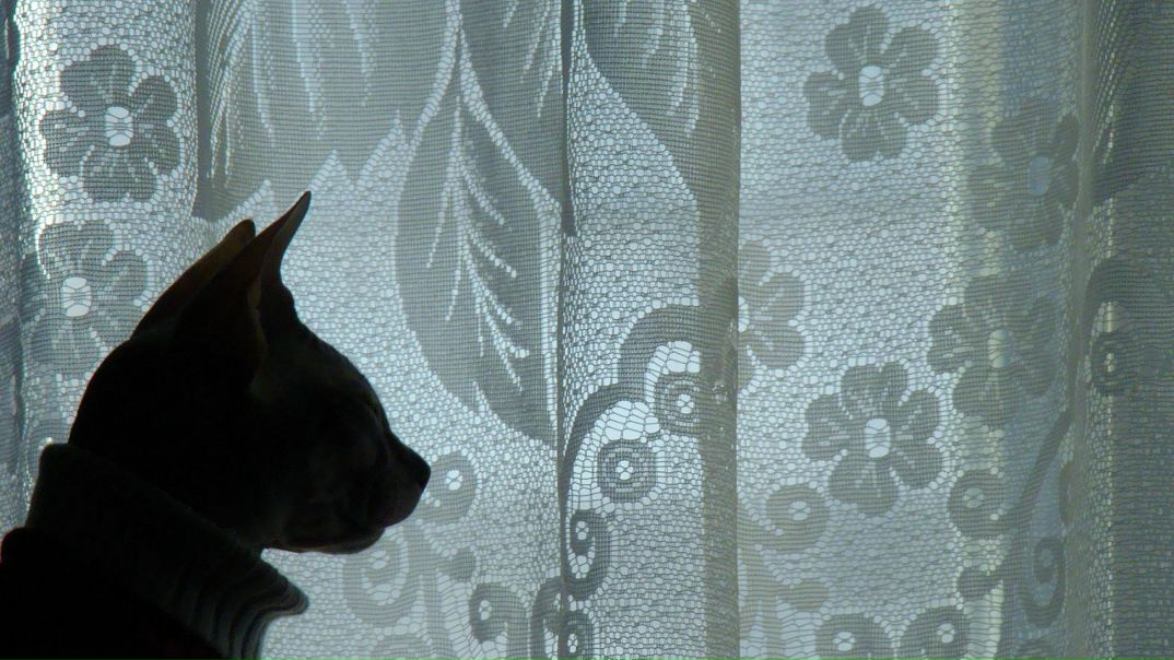 №56, Алия Исмагзамова, 36 лет, Челябинск, Россия №56, Алия Исмагзамова, 36 лет, Челябинск, Россия