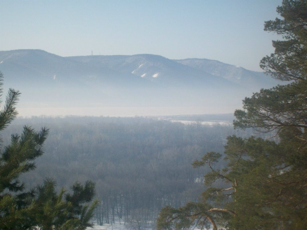 Геннадий Пальчиков | Самара
