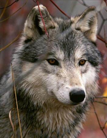 №77, Валерия Котова, Москва №77, Валерия Котова, Москва