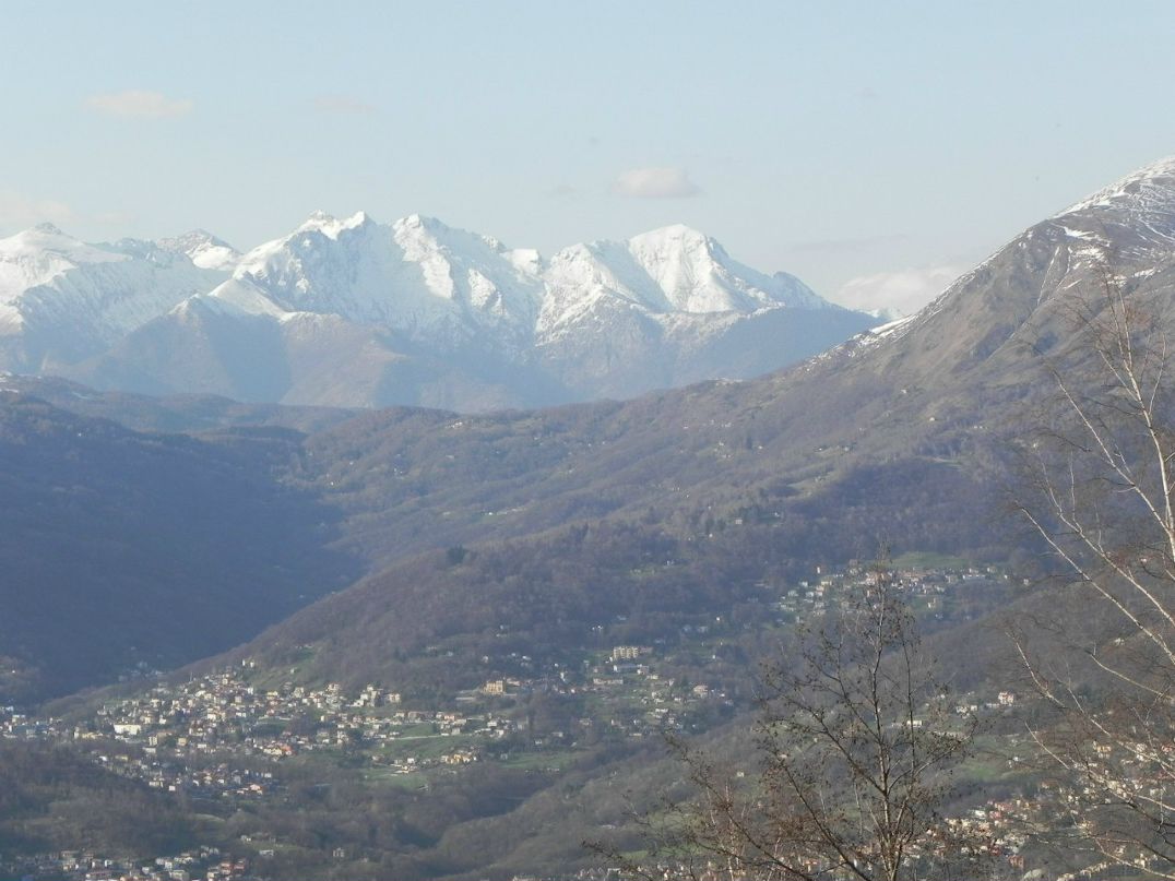 Сергей Шиманаев | Таллин