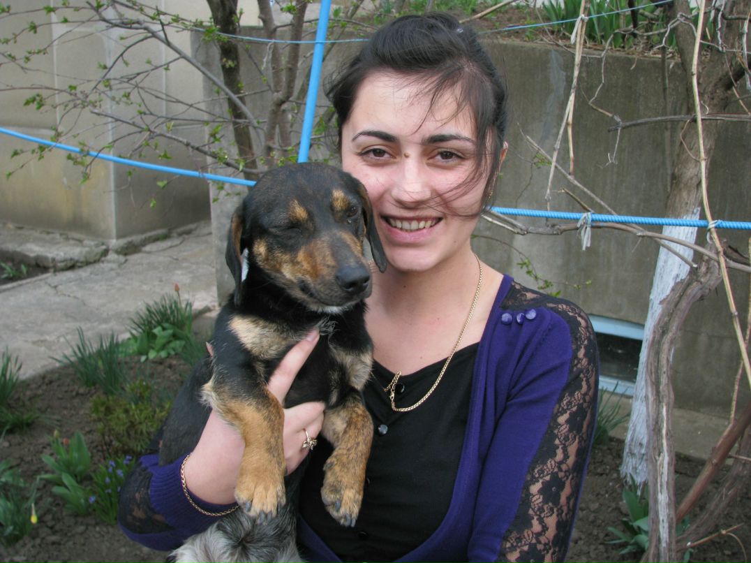 Алла Володей | Делень