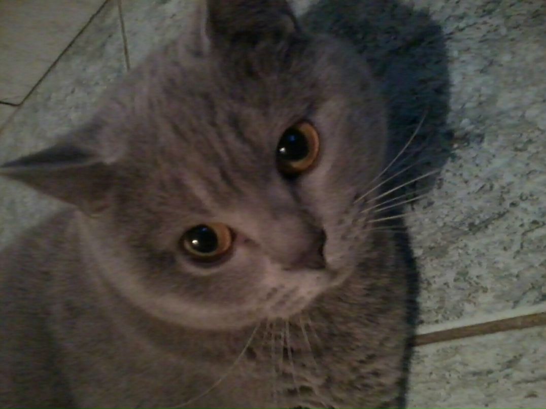 Татьяна Рожок | Калининград