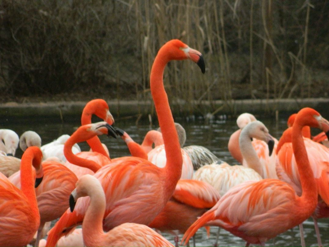 Ксения Никифорова | 