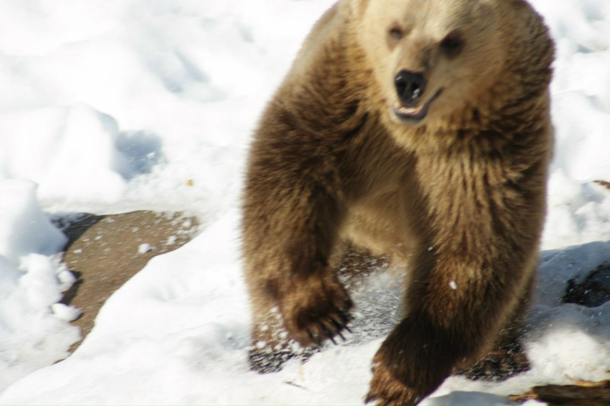 Игорь Ильин | Гатчина