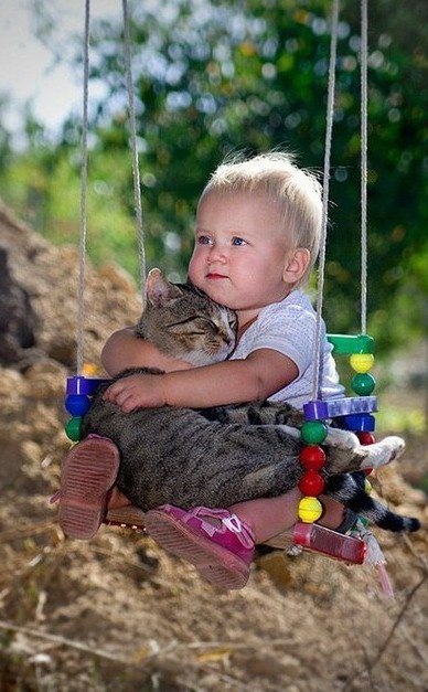 Аляксандар Маісейчыкафф Алехна | Гомель