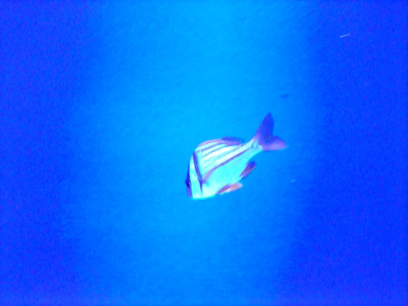 Татьяна Баранова | Санкт-Петербург