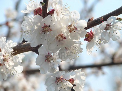 Юлия Янц | Павлоград